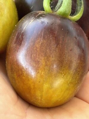 Brads Atomic Grape